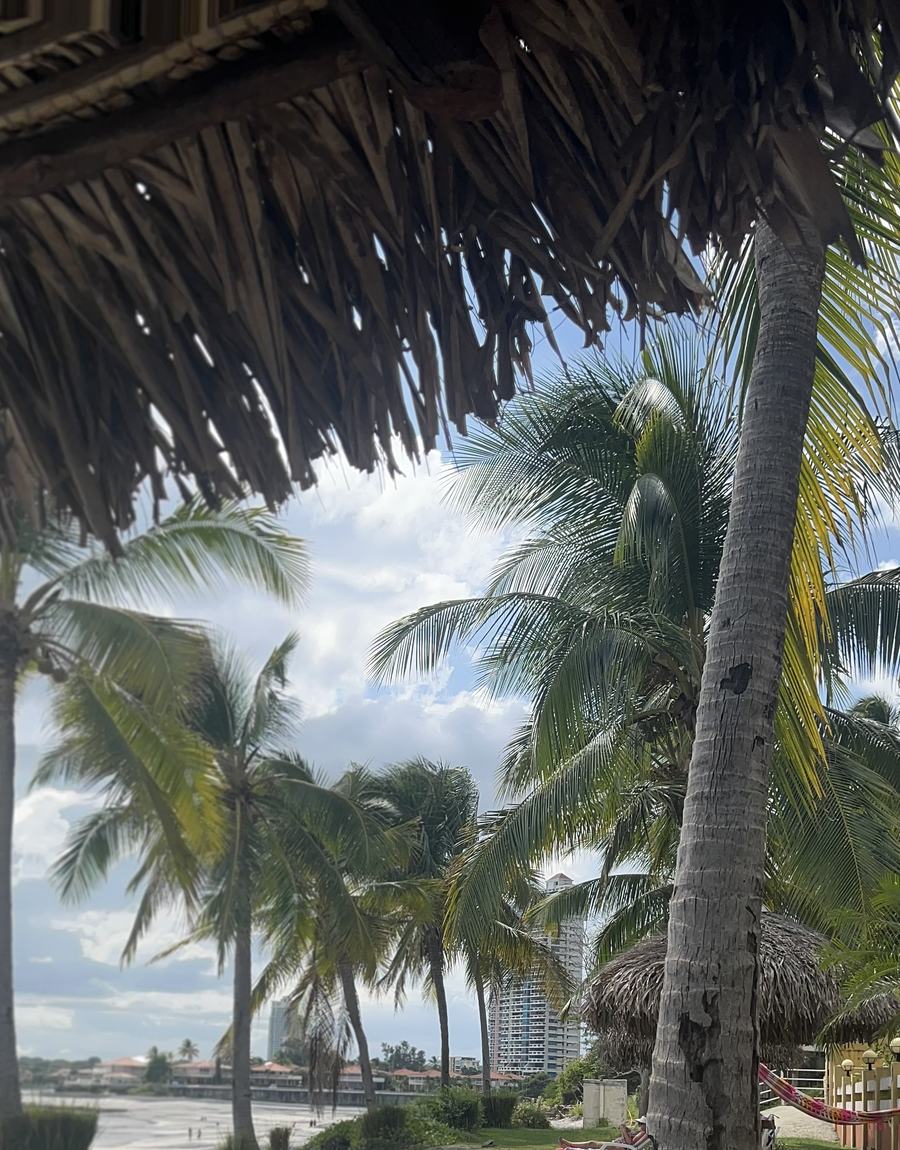 Palms and thatched ranchos on the Pacific coast